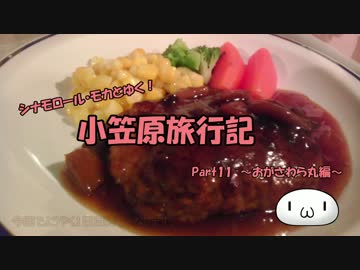 【ゆっくり】小笠原旅行記 Part11 ～おがさわら丸編～ ディナー＆星空