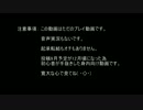 海戦士とヒヨコinミーリム海岸③