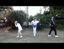 [ ピンキー生誕記念 ]　P and A_踊ってみた