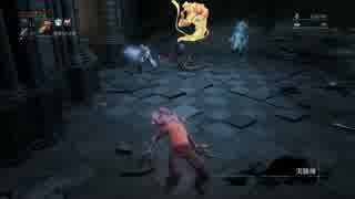 【Bloodborne】神秘99が侵入・対人 part4【DLCエリア】