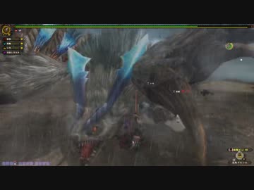 【MHF-G】会長がデイリークエストのトリドクレス を攻略実況