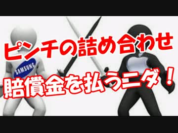 【ピンチの詰め合わせ】 賠償金を払うニダ！