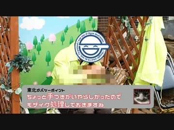 【ninja1000】東北ガバガバツーリング１章【蔵王キツネ村編】