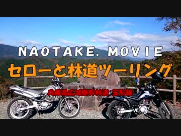 【ＳＬ２３０】セローと林道ツーリング【兵庫・笠形線】