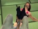 [DOA5LR]ミラ　トロピカルセクシー　武蔵坊抱昇