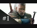 [ウィッチャー３]トロフィー100％ #1-ストーリー解説- [解説実況]