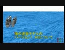 配布動画