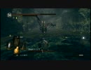 一生二魂による悪魔狩り2nd Part19