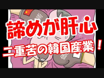 【二重苦の韓国産業】 諦めるしか無いニダ！