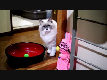 ボールがころころするよ