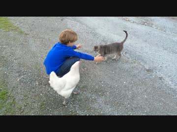 ニワトリを抱きしめる少年２