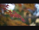 【YAMAHA】ポッケでお散歩！Part6【車載動画】