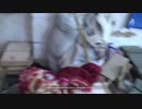 【イスラム国】まだマクホール山で戦い続けていたIS兵達 part2
