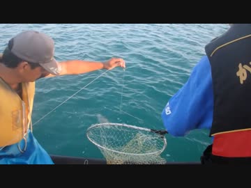 【サメ現る】漁に出てみた。2話【大漁 沖縄 延縄】