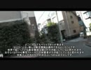 11/11 gang stalking targeted individual 集団ストーカー