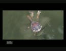 【ゼルダの伝説】死亡シーン集【トワイライトプリンセス】