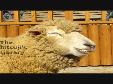 The hitsuji's Library - すべてのかなしみをお菓子に original