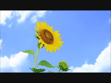椎名へきる　ライブセットリスト　STARTING LEGEND　前編