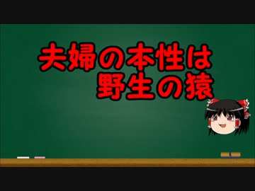 ゆっくりにお・ま・か・せ：夫婦円満の秘訣を教えちゃうよ！！