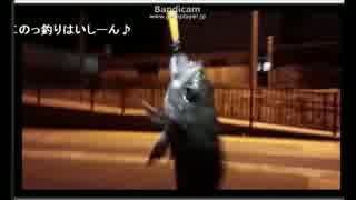 これぞ男の釣り配信 ニコニコ動画