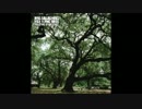 Noel Gallagher's High Flying Birds - The Girl With X-Ray Eyes (Demo)