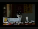 YZF-R25で神社巡り　敦賀