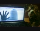 猫にブラクラ見せてみたら【びっくり注意】