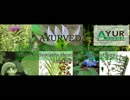 Ayurvedic skin treatment center punjab