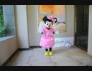 ミニーマウスとは ミニーマウスとは 単語記事 ニコニコ大百科
