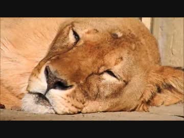 地下鉄開業日の仙台市八木山動物公園
