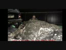 【衝撃】 巨大いのしし（500キロ） VS 巨大クマ（400キロ） 捕獲！でか過ぎ