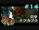 【実況】岩穿テツカブラ狩りにいこうな　＃１４【モンハンX】