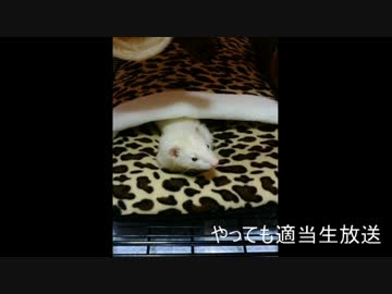 やってもの適当生放送アーカイブ動画　その２０