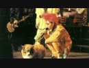 hide D.O.D