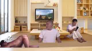 おもちゃでイタズラをする大先輩 ニコニコ動画