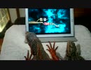 スーさんは腐トアゴ04