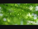 木漏れ日【オリジナル曲】