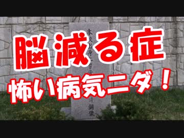 【脳減る症】 怖い病気ニダ！