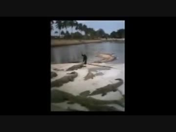 【閲覧猛注意】ワニワニパニック【自己責任】