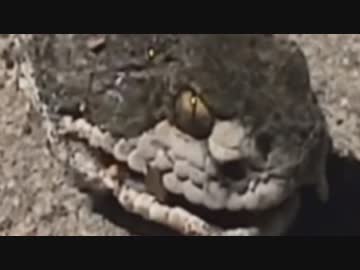 絶対に×2検索してはいけない言葉を怖くないように実況3