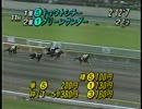 1995 中央競馬ダイジェスト