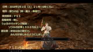 【ＰＳ３ダークソウル２】太陽でがんばりたかったんです【サイン告知】