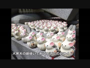 キノコを撮りに行こう！～今ひとたびの奈良へ～