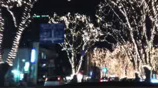 仙台 光のページェント　２０１５　 Sendai Pageant of Starlight　