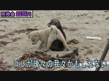 【所持金0円で即終了】釣り生活　リベンジ【3話】