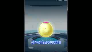 【クラッシュフィーバー】ムーチョと一緒にパズルでクラッシュ　その２