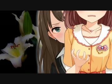 【モバマス】武内Pと棟方愛海の続・揉まれる覚悟