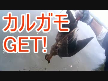 カモ狩猟散弾銃　他いろいろ　 新米猟師ハンターライフ2-10