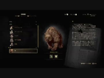 【ウィッチャー３　ワイルドハント】ハテナ巡り終了！【第１３狼】