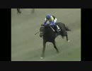 若駒ｽﾃｰｸｽで完全勝利したディープインパクトUC